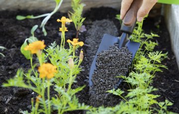 Biolan Organic – mūsų naujos trąšos sodininkams mėgėjams