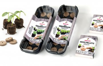 Neskubėkite – didžiausia augalininkystės klaida – per anksti pasėti.