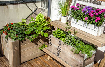 Maistas iš namų balkono!