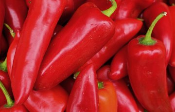 ČILI pipirai